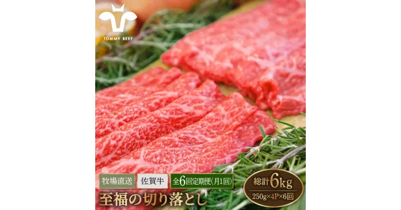 【ふるさと納税】【牧場直送】【6回定期便】佐賀牛 至福の切り落とし 1000g（250g×4パック）【有限会社佐賀セントラル牧場】 黒毛和牛 肉 お肉 牛肉 切落し 1kg 冷凍[IAH095]