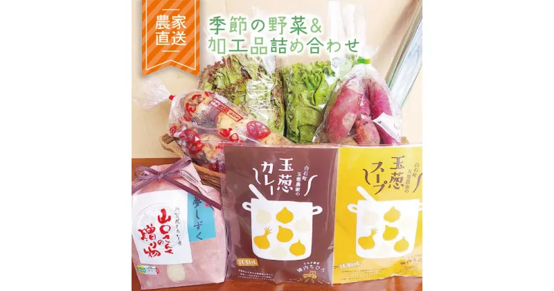 【ふるさと納税】【農家直送！】季節のお野菜＆加工品の詰め合わせセット【AGUMIGroup（農業女子グループ）】 [IAT001]