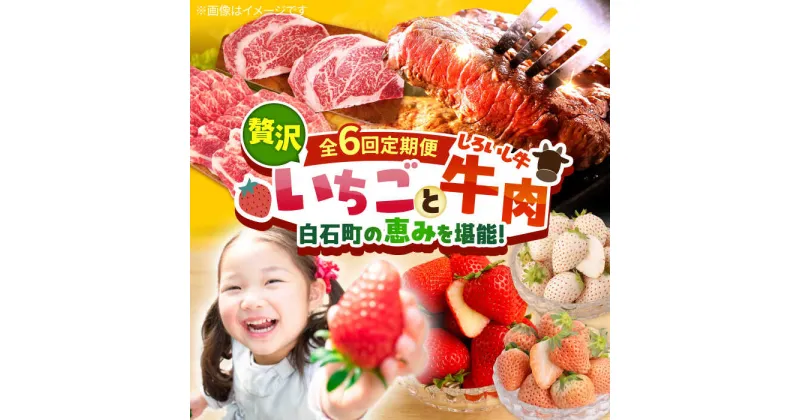 【ふるさと納税】【先行予約】【全6回定期便】産地直送！白石町産 いちごと牛肉の贅沢定期便 イチゴ 苺 果物 フルーツ お肉 肉 ステーキ 焼肉 すき焼き しゃぶしゃぶ [IZZ009]