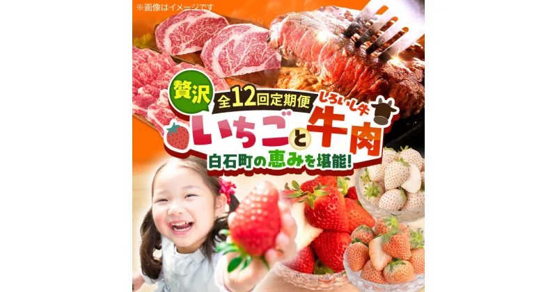 【ふるさと納税】【先行予約】【全12回定期便】産地直送！白石町産 いちごと牛肉の贅沢定期便 イチゴ 苺 果物 フルーツ お肉 肉 ステーキ 焼肉 すき焼き しゃぶしゃぶ ハンバーグ [IZZ010]