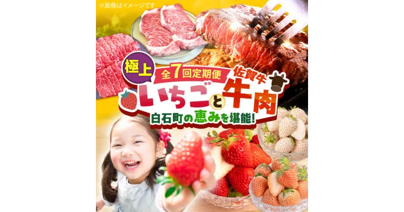 【ふるさと納税】【先行予約】【全7回定期便】産地直送！白石町産 いちごと牛肉の極上定期便 イチゴ 苺 果物 フルーツ 佐賀牛 黒毛和牛 お肉 肉 ステーキ 焼肉 すき焼き しゃぶしゃぶ [IZZ014]