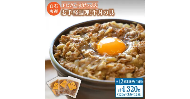 【ふるさと納税】【全12回定期便】身体にやさしい！お手軽調理！牛丼の具（120g×3袋入り）【べんがら】牛肉 丼 惣菜 レトルト おかず 時短 簡単調理 [IAZ008]