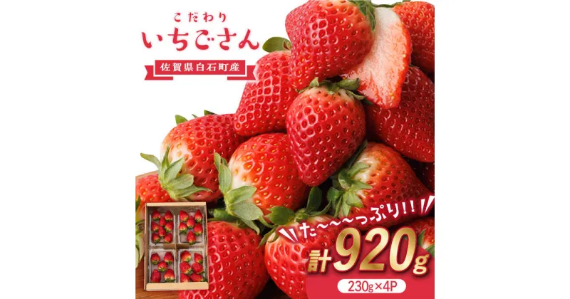 【ふるさと納税】【先行予約】こだわり いちごさん 約230g×4パック【高主いちご園】苺 イチゴ 佐賀県産 フルーツ 果物 お取り寄せ [ICI001]