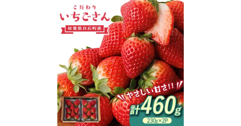 【ふるさと納税】【先行予約】こだわり いちごさん 約230g×2パック【高主いちご園】苺 イチゴ 佐賀県産 フルーツ 果物[ICI002]