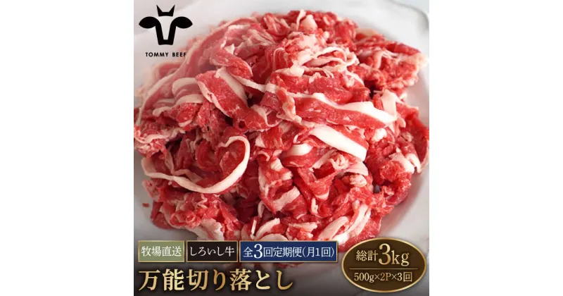 【ふるさと納税】【牧場直送】【3回定期便】佐賀県産しろいし牛 万能切落し 1kg（500g×2パック）【有限会社佐賀セントラル牧場】お肉 肉 牛肉 冷凍 切り落とし [IAH133]