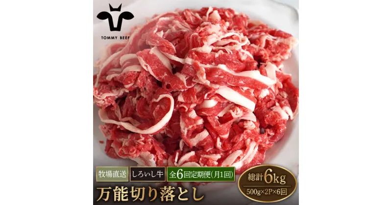 【ふるさと納税】【牧場直送】【6回定期便】佐賀県産しろいし牛 万能切落し 1kg（500g×2パック） 【有限会社佐賀セントラル牧場】お肉 肉 牛肉 冷凍 切り落とし [IAH134]