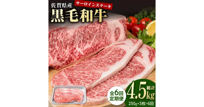 【ふるさと納税】【6回定期便】佐賀県産 黒毛和牛 贅沢 サーロイン ステーキ 250g×3枚（計750g）【株式会社いろは精肉店】お肉 肉 牛肉 冷凍 和牛 [IAG091]