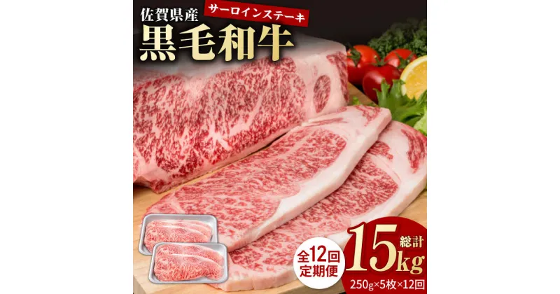 【ふるさと納税】【12回定期便】佐賀県産 黒毛和牛 贅沢 サーロイン ステーキ 250g×5枚（計1250g）【株式会社いろは精肉店】お肉 肉 牛肉 冷凍 和牛 [IAG095]