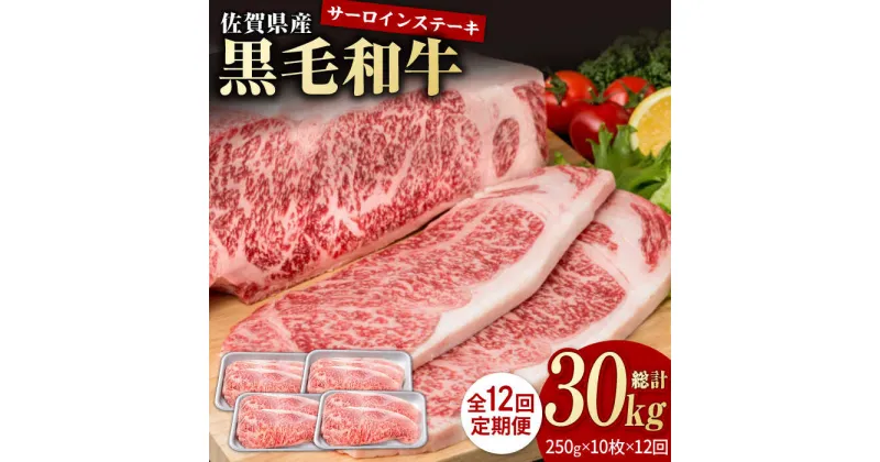 【ふるさと納税】【12回定期便】佐賀県産 黒毛和牛 贅沢 サーロイン ステーキ 250g×10枚（計2.5kg）【株式会社いろは精肉店】お肉 肉 牛肉 冷凍 和牛 [IAG098]