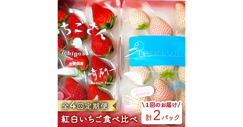 【ふるさと納税】【先行予約】【4回定期便】食べ比べ！いちごさん＆パールホワイト定期便【かわさきいちご】イチゴ 白イチゴ 苺 果物 フルーツ 佐賀県産 [IBG012]