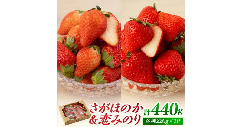 【ふるさと納税】【先行予約】食べ比べ！恋みのり＆さがほのか 各220g 詰め合わせ セット【鐘ヶ江農園】イチゴ 苺 直送 新鮮 果物 フルーツ 佐賀県産 白石町産 産地直送 [IBH007]