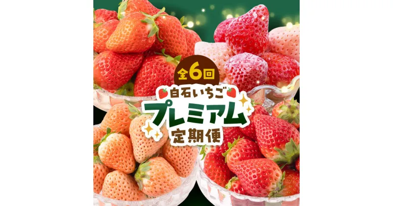 【ふるさと納税】【先行予約】【6回定期便】プレミアム いちご 食べ比べ 定期便【岸川農園】 農家直送 希少 苺 いちご イチゴ 白イチゴ 果物 フルーツ 淡雪 いちごさん さがほのか 冷凍いちご　[IAP023]