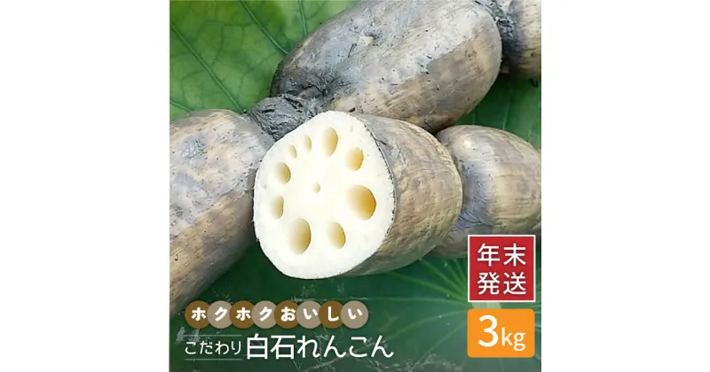 【ふるさと納税】【年末発送】【先行予約】こだわり白石れんこん 3kg【れんこんの家やました】レンコン 蓮根 白石町産 野菜 根菜 年内発送 年内配送 お正月用[IAW003]