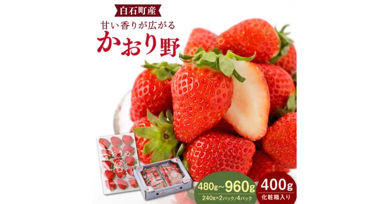 【ふるさと納税】【先行予約】【農家直送】かおり野 2パック or 4パック or 化粧箱【StrawberryFarm-K】赤いちご イチゴ 苺 果物 フルーツ 白石町産 佐賀県産 [IBJ003]