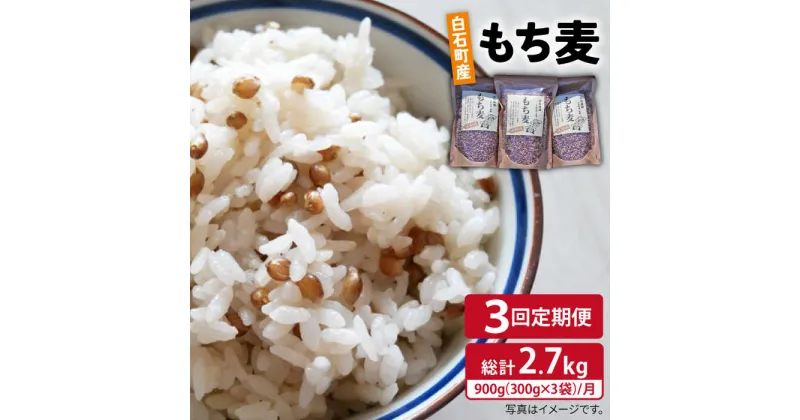 【ふるさと納税】【全3回定期便】白石産 もち麦 900g（300g×3袋）/回（総計2.7kg）【道の駅しろいしカンパニー】モチ麦 もちむぎ 小分け 健康 雑穀米 雑穀 お米 [IAA034]