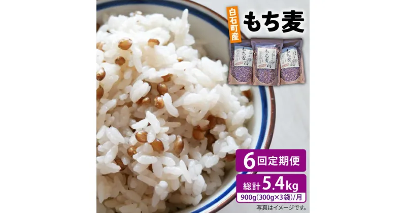 【ふるさと納税】【全6回定期便】白石産 もち麦 900g（300g×3袋）/回（総計5.4kg）【道の駅しろいしカンパニー】モチ麦 もちむぎ 小分け 健康 雑穀米 雑穀 お米 [IAA035]