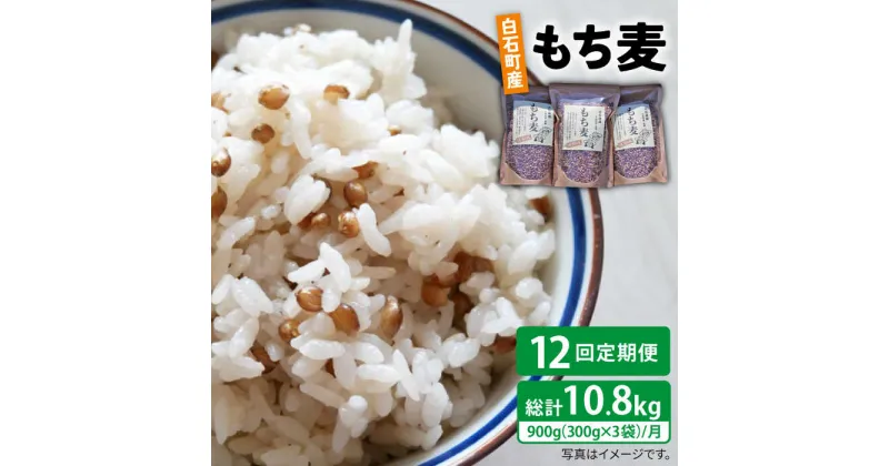 【ふるさと納税】【全12回定期便】白石産 もち麦 900g（300g×3袋）/回（総計10.8kg）【道の駅しろいしカンパニー】モチ麦 もちむぎ 小分け 健康 雑穀米 雑穀 お米 [IAA036]