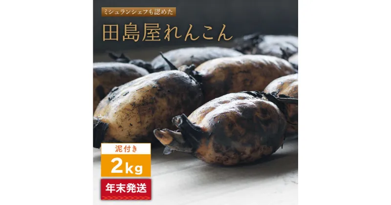 【ふるさと納税】【年末発送】【先行予約】田島屋れんこん2kg（泥付き）【田島屋れんこん】蓮根 レンコン 根菜 野菜 白石町産 年内発送 年内配送 お正月用[IAV004]