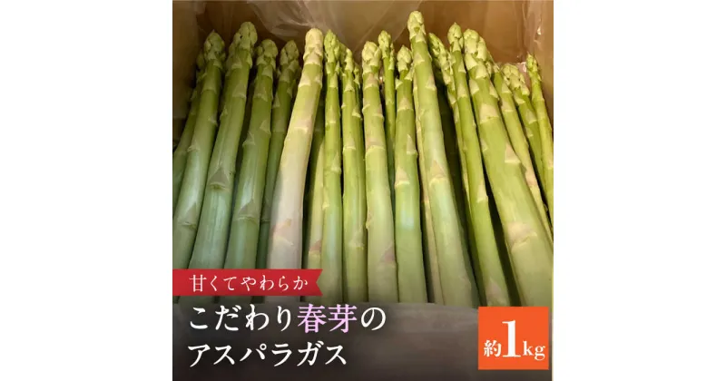 【ふるさと納税】【先行予約】甘くやわらか！こだわり 春芽 アスパラガス 約1kg【ふぁふぁふぁーむ】アスパラ 野菜 新鮮 [ICS001]