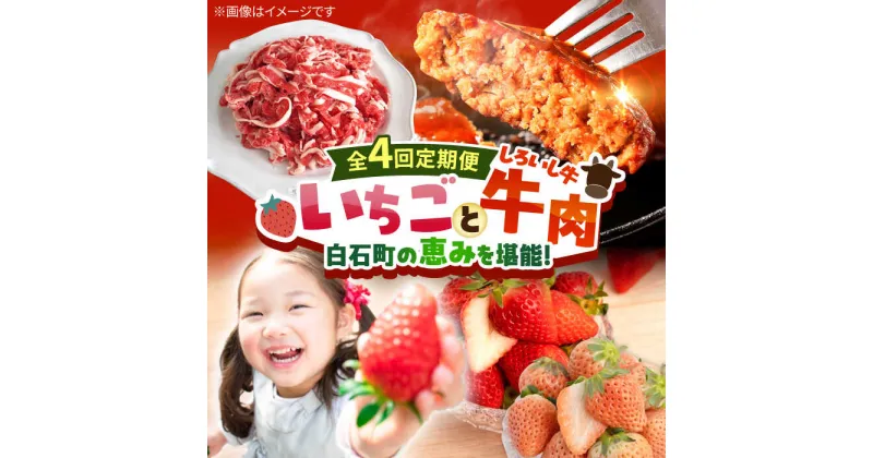 【ふるさと納税】【先行予約】【全4回定期便】産地直送！白石町産 いちごと牛肉の定期便 イチゴ 苺 果物 フルーツ お肉 肉 ハンバーグ 切り落とし [IZZ019]