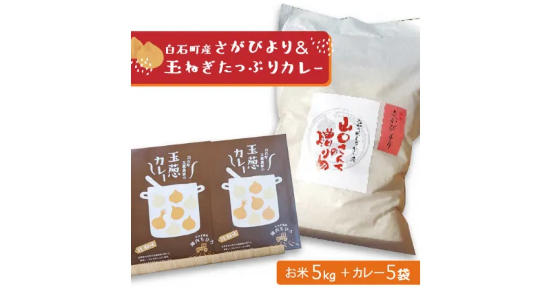 【ふるさと納税】白石町産 さがびより（白米）5kg＆玉ねぎたっぷりカレー 5袋（レトルト）詰め合わせ【AGUMIGroup（農業女子グループ）】 [IAT002]