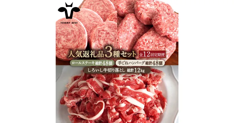 【ふるさと納税】【牧場直送】【12回定期便】人気返礼品詰め合わせ！牛肉100%ふんわりロールステーキ 4個＆手ごねハンバーグ 4個＆しろいし牛 切り落とし 1000g【有限会社佐賀セントラル牧場】切落し 詰め合わせ 食べ比べ セット 牛肉 肉 お肉 [IAH187]