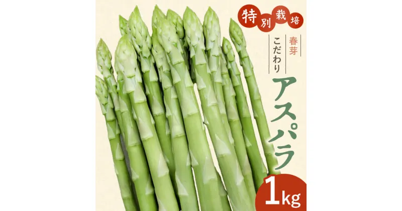 【ふるさと納税】【先行予約】【特別栽培】こだわり 春芽 アスパラガス 約1kg【ひがじま農園】 アスパラ 野菜 農家直送[ICW001]