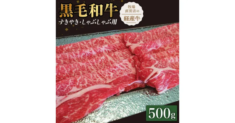 【ふるさと納税】【霜降り控えめ！】牧場直営店の黒毛和牛 スライス 500g （ロース）すきやき・しゃぶしゃぶ用【川崎畜産】牛肉 肉 お肉 すき焼き すき焼 すきしゃぶ [IAX028]