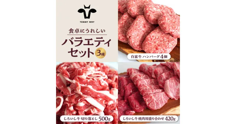 【ふるさと納税】【牧場直送】食卓にうれしいバラエティ セット（手ごねハンバーグ 4個＆切り落とし 500g＆焼肉用 420g）【有限会社佐賀セントラル牧場】 お肉 肉 牛肉 冷凍 焼肉 切落し [IAH191]