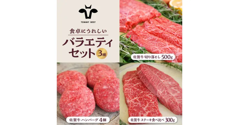 【ふるさと納税】【牧場直送】佐賀牛 食卓にうれしいバラエティ セット（切り落とし 500g＆ハンバーグ 4個＆ステーキ食べ比べ 300g）【有限会社佐賀セントラル牧場】 [IAH207]