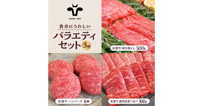 【ふるさと納税】【牧場直送】佐賀牛 食卓にうれしいバラエティ セット（切り落とし 500g＆ハンバーグ 4個＆焼肉用食べ比べ 300g）【有限会社佐賀セントラル牧場】 [IAH208]