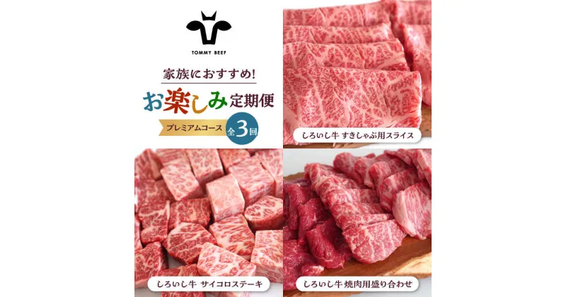 【ふるさと納税】【牧場直送】【3回定期便】しろいし牛 家族向け お楽しみ 定期便（プレミアムコース）【有限会社佐賀セントラル牧場】 [IAH212]