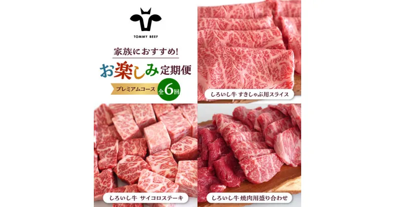 【ふるさと納税】【牧場直送】【6回定期便】しろいし牛 家族向け お楽しみ 定期便（プレミアムコース）【有限会社佐賀セントラル牧場】 [IAH213]