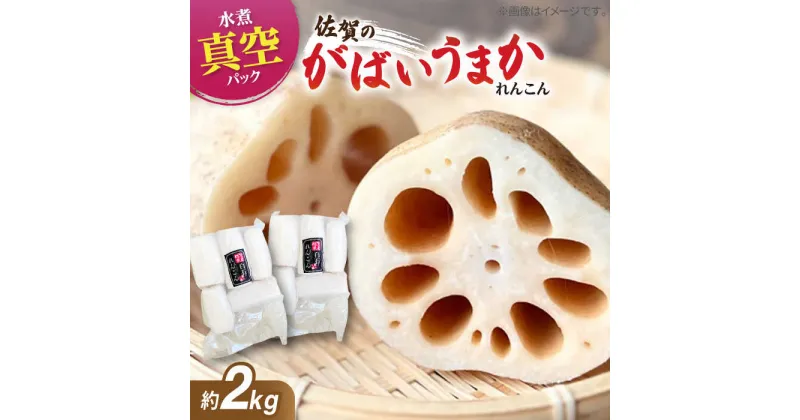 【ふるさと納税】【お手軽調理！】白石町産 水煮れんこん 計2kg（真空パック）【有限会社白石開発】 蓮根 レンコン 佐賀県産 白石町産 野菜 根菜 小分け 真空 保存 [IBN007]