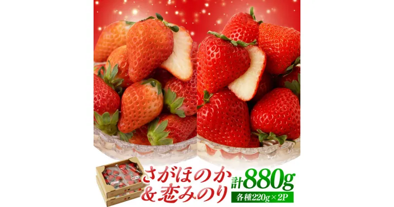 【ふるさと納税】【先行予約】食べ比べ！恋みのり＆さがほのか 計880g（各種220g×2パック）詰め合わせ セット【鐘ヶ江農園】 [IBH011]イチゴ 苺 直送 新鮮 果物 フルーツ 佐賀県産 白石町産 産地直送