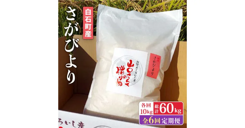 【ふるさと納税】【先行予約】【6回定期便】 特別栽培米 さがびより 10kg 白米 〜山口さんちの贈り物〜【y’scompany】 [IAS017]