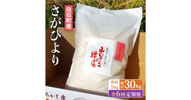 【ふるさと納税】【先行予約】【6回定期便】 特別栽培米 さがびより 5kg 白米 ～山口さんちの贈り物～【y’scompany】 [IAS016]