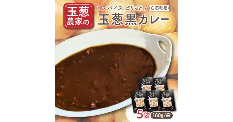 【ふるさと納税】【素材の旨味たっぷり】玉葱農家の 玉葱黒カレー（5袋）【玉葱農家 陣内ちひろ】[IAO021]