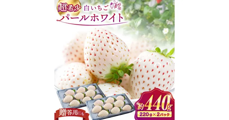 【ふるさと納税】【選べる発送月】【佐賀県産いちご】パールホワイト 約220g×2パック【株式会社IMKCorporation】[IBX023]