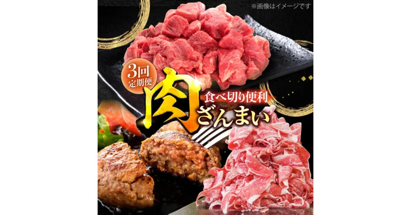 【ふるさと納税】【3回定期便】肉ざんまい定期便 一人暮らし 少量 /黒毛和牛 牛肉 バラエティー 定期 個梱包ハンバーグ【川崎畜産】[IAX047]