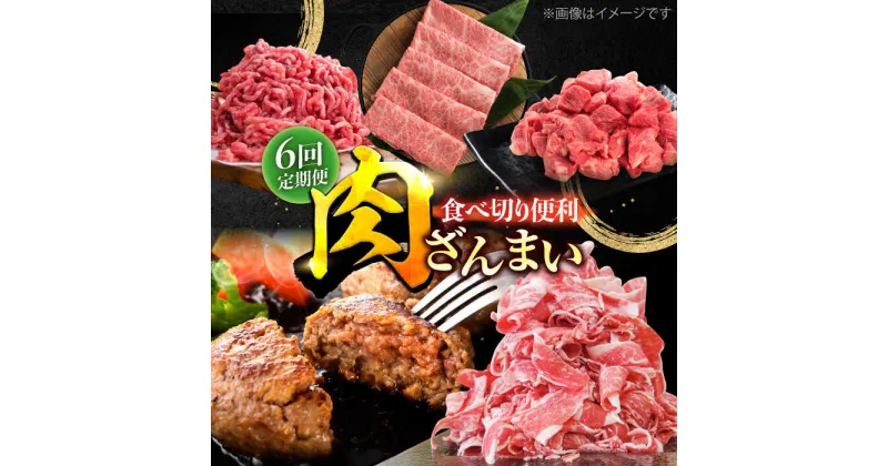 【ふるさと納税】【6回定期便】肉ざんまい定期便 一人暮らし 少量/黒毛和牛 牛肉 バラエティー 定期 個梱包ハンバーグ【川崎畜産】[IAX049]