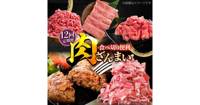 【ふるさと納税】【12回定期便】肉ざんまい定期便 一人暮らし 少量 / 牛肉 黒毛和牛 個梱包ハンバーグ【川崎畜産】[IAX051]