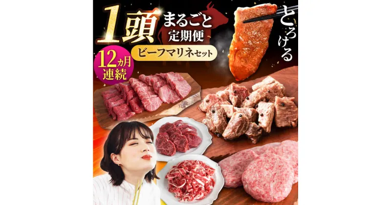 【ふるさと納税】【12回定期便】しろいし牛1頭まるごと 食卓定期便 大容量 マリネ 焼肉 ハンバーグ【有限会社佐賀セントラル牧場】[IAH223]