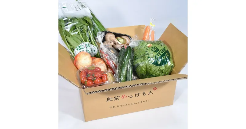 【ふるさと納税】L-37 鮮度抜群！肥前の国のお野菜詰め合わせセット（8〜10品目）