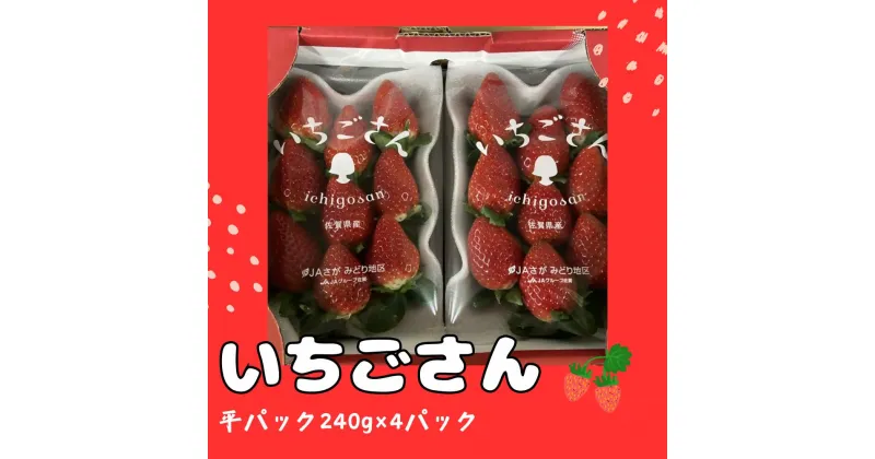 【ふるさと納税】N-205 いちごさん　平パック　240g×4パック 苺 いちご フルーツ 果物