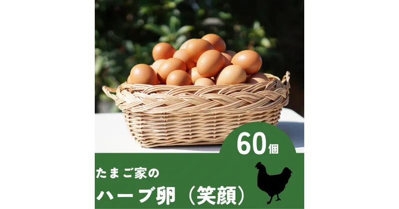 【ふるさと納税】ND-3 たまご家のハーブ卵（笑顔）60個 卵 卵料理 ゆでたまご 卵かけご飯