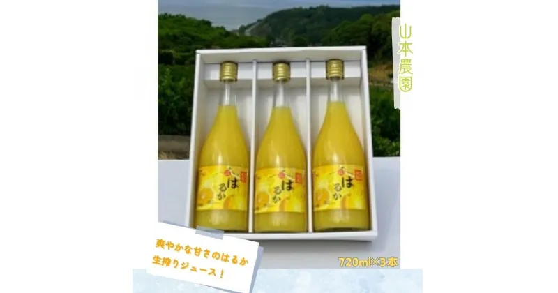 【ふるさと納税】NC-15 山本農園の生搾りはるか 3本セット（720ml×3本）みかんジュース　オレンジジュース　ストレートジュース　果物　くだもの　ビタミン　贈答　贈り物　100％　無添加