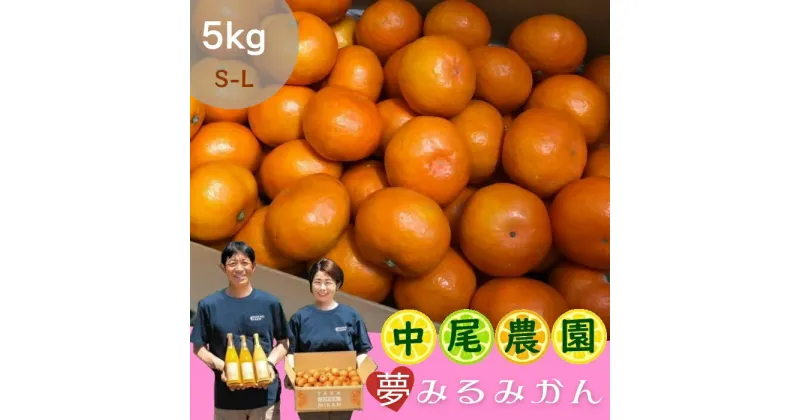 【ふるさと納税】NA-10 中尾農園の夢みるみかん（S-L）5kg　果物　くだもの　ビタミン