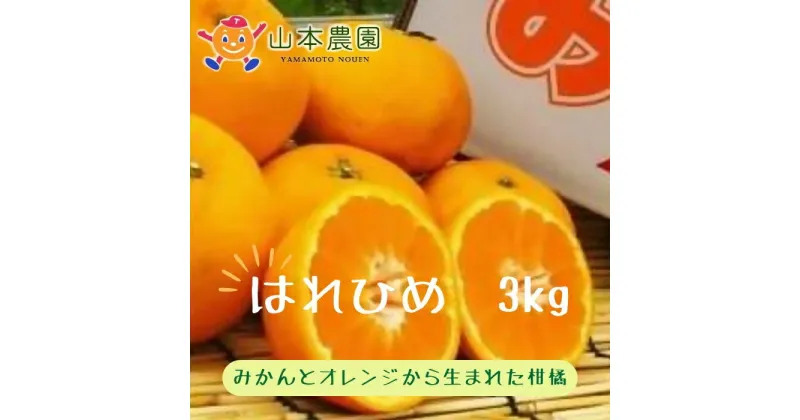 【ふるさと納税】L-69 山本農園のはれひめ 3kg