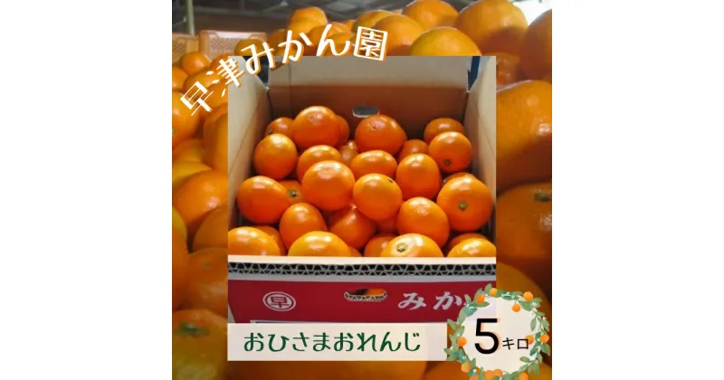 【先行予約】【ふるさと納税】N-85 おひさまおれんじ5kg　太良町　返礼品　盛田温州　希少　おすすめ